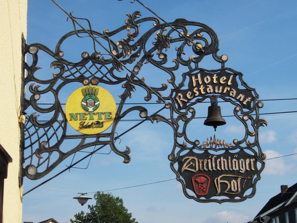 Готель Dreischlaeger Hof Neustadt  Екстер'єр фото